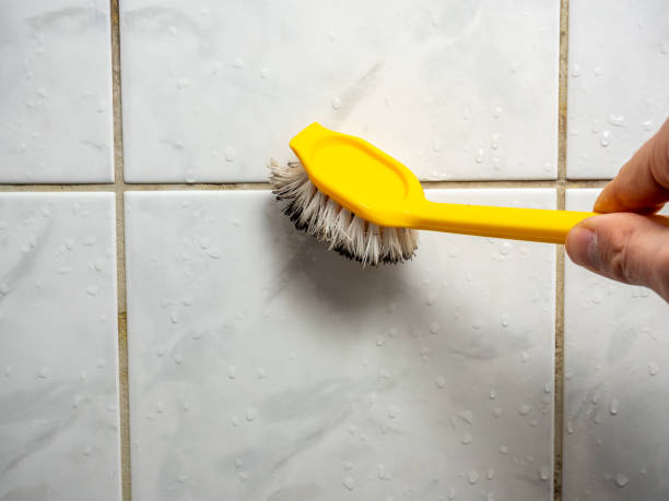 Best Mold Remediation  in Belton, MO