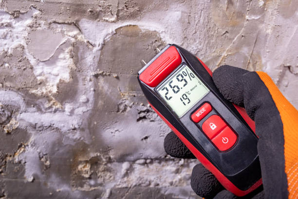Crawl Space Mold Removal in Belton, MO